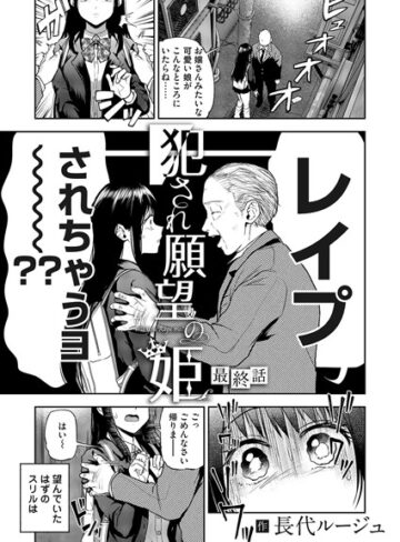 犯●れ願望の姫（単話）