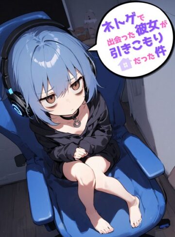 ネトゲで出会った彼女が引きこもりだった件
